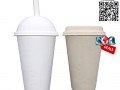 12-oz-cup-disposable-cup-bagasse-cup-coffee-cup-small-2