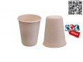 16-oz-cup-disposable-cup-sugarcane-cup-take-away-cup-small-2