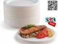 9-inches-plate-disposable-plate-round-plate-bagasse-plate-small-1