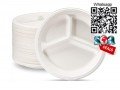 10-inches-plate-dinner-plate-disposable-plate-sugarcane-plate-small-1