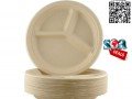 10-inches-plate-dinner-plate-disposable-plate-sugarcane-plate-small-4