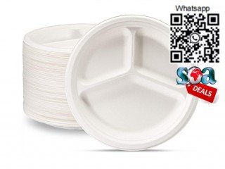 10-inches-plate-dinner-plate-disposable-plate-sugarcane-plate-big-1