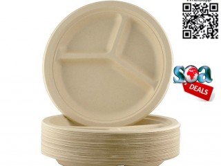 10-inches-plate-dinner-plate-disposable-plate-sugarcane-plate-big-4