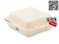 8-inches-clamshell-box-disposable-clamshell-box-bagasse-clamshell-small-4