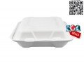 8-inches-disposable-box-bagasse-box-sugarcane-box-take-away-box-small-5