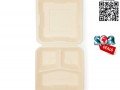 8-inches-disposable-box-bagasse-box-sugarcane-box-take-away-box-small-0