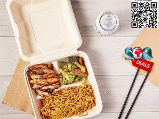 8-inches-disposable-box-bagasse-box-sugarcane-box-take-away-box-big-3