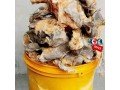 crayfish-dried-fish-and-snails-for-sale-small-1