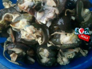 crayfish-dried-fish-and-snails-for-sale-big-2