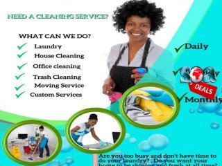 Need a cleaning service?
