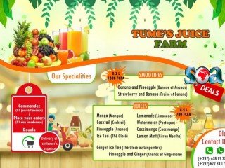 Sales Persons for a Juice Business