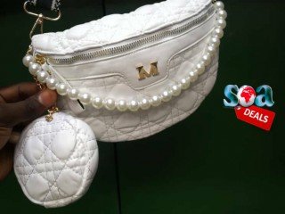 ladies-shoes-and-handbags-big-4